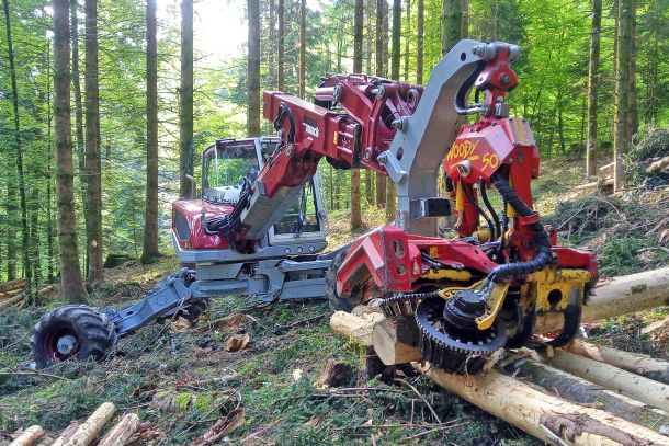 Forstarbeiten